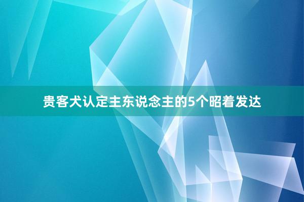 贵客犬认定主东说念主的5个昭着发达