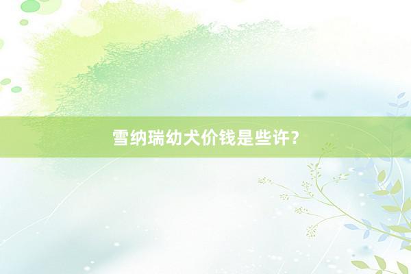 雪纳瑞幼犬价钱是些许？